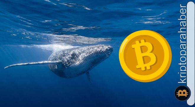 BTC yaprak dökümü yaşarken kripto balinaları toplama peşinde mi?