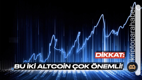 Kripto piyasası bu iki altcoin önderliğinde toparlanabilir!