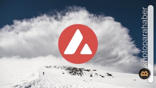 Kurumlar, Ethereum katili altcoin’i deli gibi almaya başladı! Çok güveniyorlar