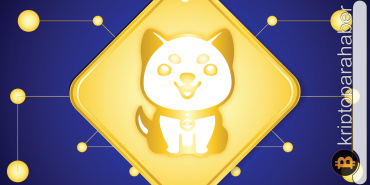 BabyDoge yeni bir kilometre taşına ulaştı! Popülaritesi artıyor