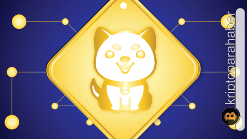 BabyDoge yeni bir kilometre taşına ulaştı! Popülaritesi artıyor