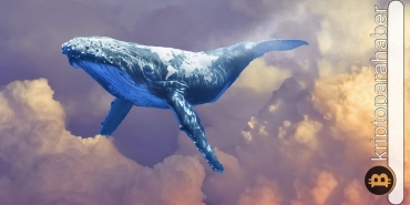 Balinalar en çok bu kriptoyu aldı ve tepeye taşıdı!