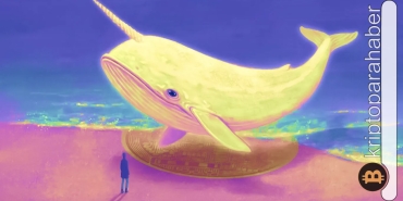 Balinaların dipten aldığı 5 altcoin: Büyük baskın var! Kaçıran pişman