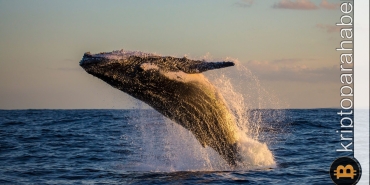 Az bilinen bu kripto para BNB balinalarının yeni gözdesi oldu! İşte detaylar