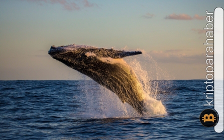 Balinalar bu 2 kripto para için daldı! Dipten alım sürüyor