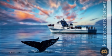 Ethereum balinaları yeniden bu altcoin'e yöneldi!