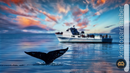 Ethereum balinaları yeniden bu altcoin’e yöneldi!