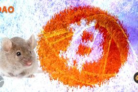Şaka değil gerçek! Bu DAO projesi, Fare DNA'sına Bitcoin yerleştirmeyi hedefliyor