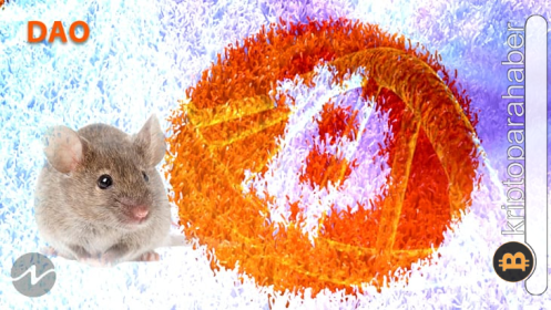 Şaka değil gerçek! Bu DAO projesi, Fare DNA’sına Bitcoin yerleştirmeyi hedefliyor