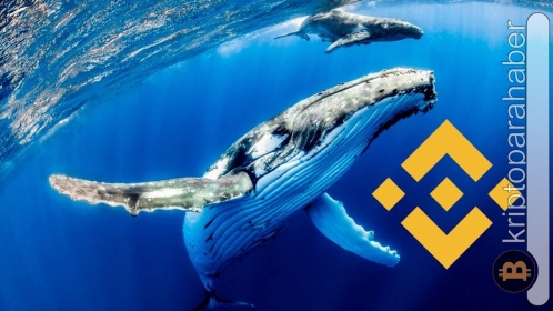 En büyük BNB cüzdanı, yüklü miktarda bu altcoin’den satın aldı!