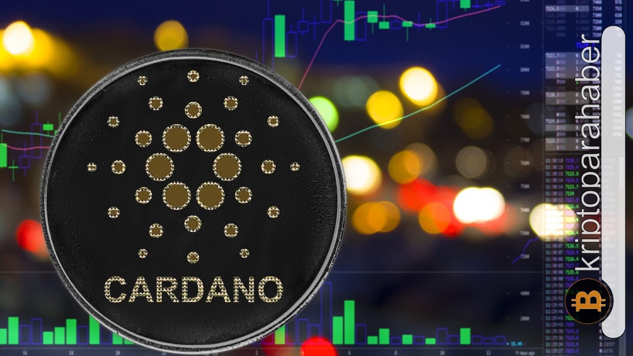 Cardano işlem hacminde Bitcoin'i geride bıraktı! Aktivite fiyata ne zaman yansıyacak?