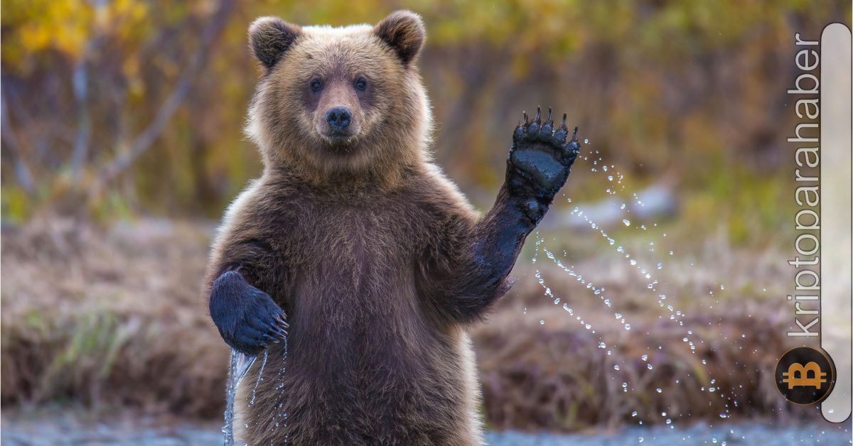 Dikkat: Bu altcoin'de ayılar henüz tükenmemiş olabilir! Yükseliş sahte mi?