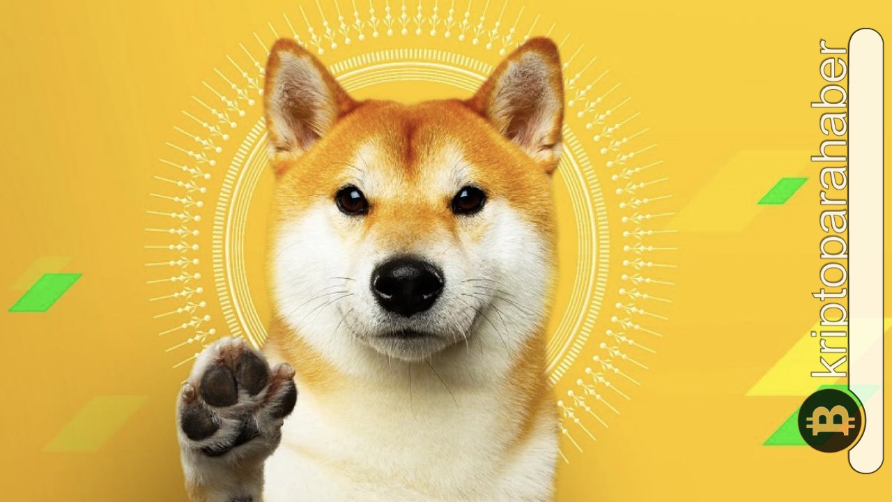 Dogecoin için hafta iyi başladı! Bir sonraki seviye ne olacak?