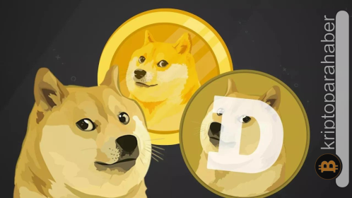 Dubai’de Dogecoin temalı hamburger restoranı açıldı!