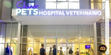 El Salvador'un Bitcoin gelirleriyle inşa ettiği hayvan hastanesi açılıyor