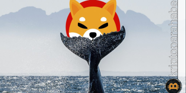 En büyük Binance balinası, Shiba Inu için daldı! SHIB yeniden 1. sırada