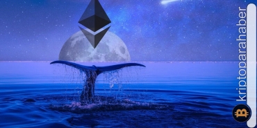Ethereum balinaları bu meme coin'den vazgeçmiyor! Kullanıcı sayısında yeni zirve belirlendi