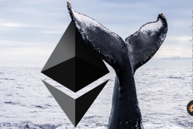 İlk 10 Ethereum balina adresinden kritik veri geldi! İşte ayrıntılar