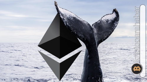 İlk 10 Ethereum balina adresinden kritik veri geldi! İşte ayrıntılar