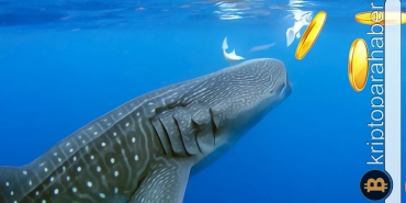 Dikkat: Balinalar bu altcoin'lerde dev alım gerçekleştiriyor!