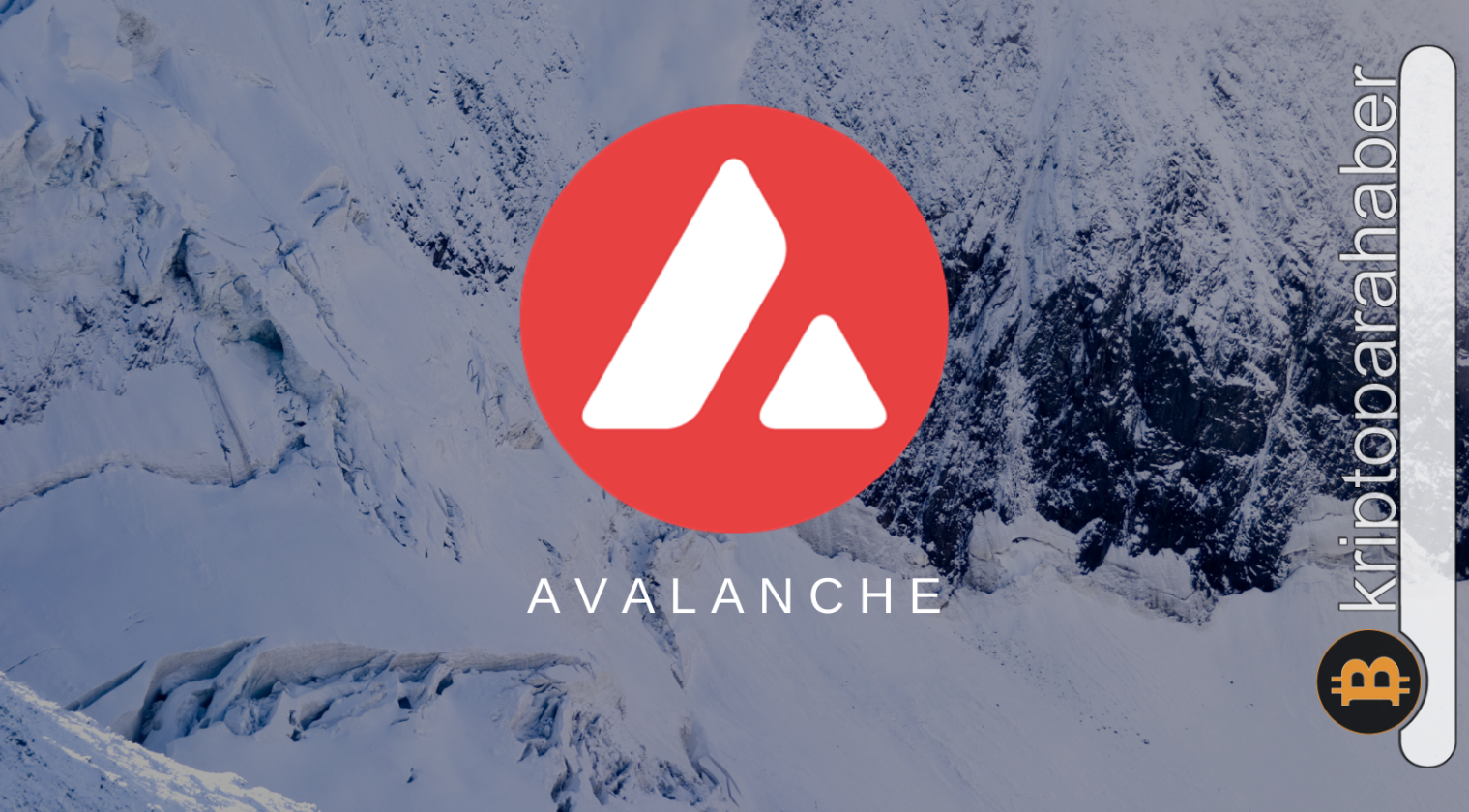Kurumsal yatırımcıların gözü Avalanche'nin üzerinde! Büyük girişler görüldü