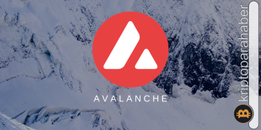 Kurumsal yatırımcıların gözü Avalanche'nin üzerinde! Büyük girişler görüldü