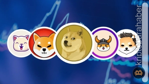 Bu iki meme coin arasında rekabet kızışıyor! Veriler dikkat çekiyor