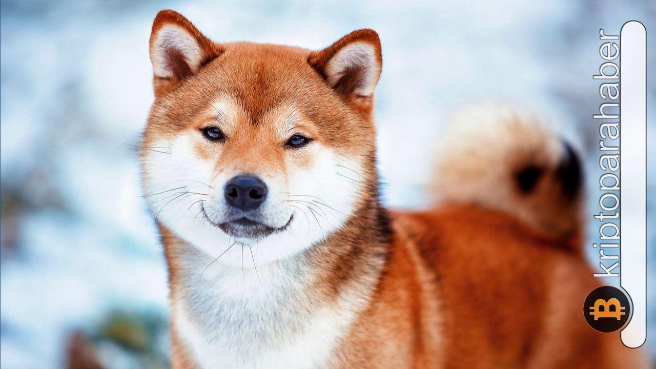 Shiba Inu 1 dolara ulaşabilecek mi? Tüm şartları en dürüst haliyle anlatıyoruz