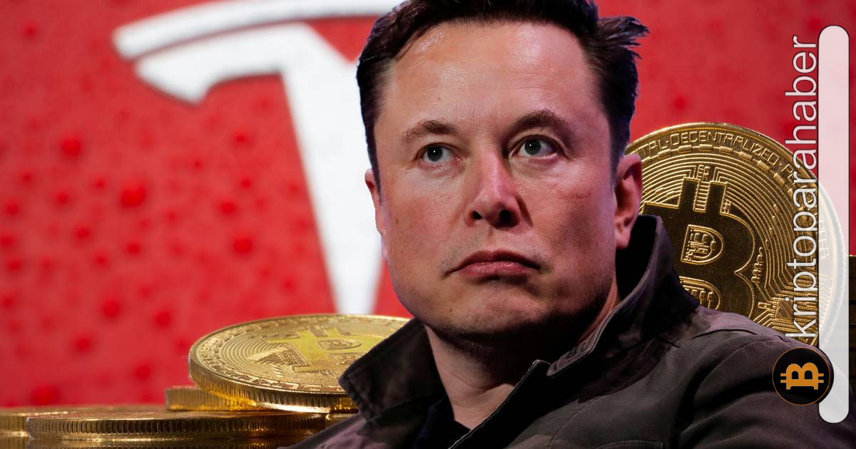 İşler kızışıyor: SEC, Elon Musk ve kardeşini araştırıyor!