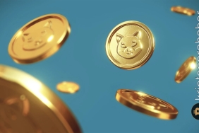 Bu 2 memecoin, Shiba Inu'yu geçebilir: Büyük potansiyel! Patlama gelebilir