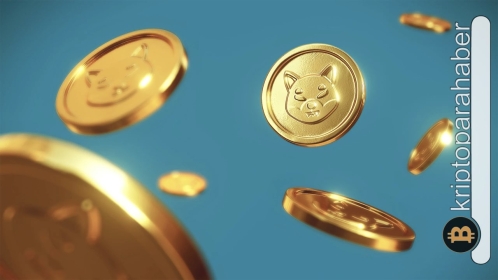 Bu 2 memecoin, Shiba Inu’yu geçebilir: Büyük potansiyel! Patlama gelebilir