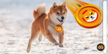 Shiba Inu, Binance Custody'nin eklemesiyle yükselişe geçti!