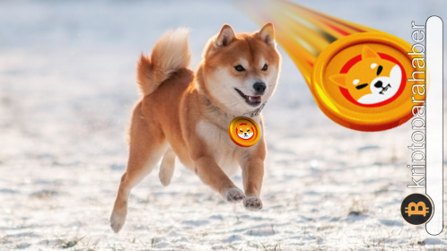 Shiba Inu, Binance Custody’nin eklemesiyle yükselişe geçti!