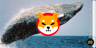 Shiba Inu ETH balinalarının yeni gözdesi mi? Son veriler dikkat çekiyor!