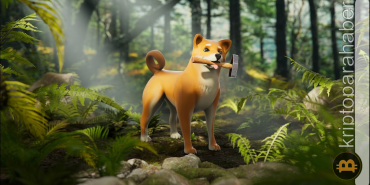Shiba Inu'nun metaverse duyurusuyla LEASH fiyatı sıçradı!