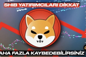 Shiba Inu kayıplarda! Düşüş devam edecek mi?