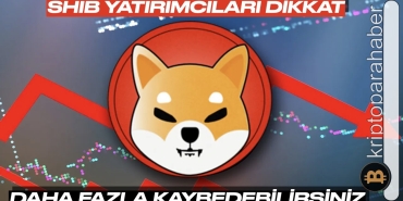Shiba Inu kayıplarda! Düşüş devam edecek mi?