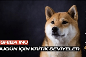 Shiba Inu için bugün çok kritik! Bu seviyelere dikkat!