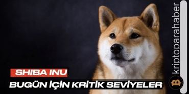 Shiba Inu için bugün çok kritik! Bu seviyelere dikkat!