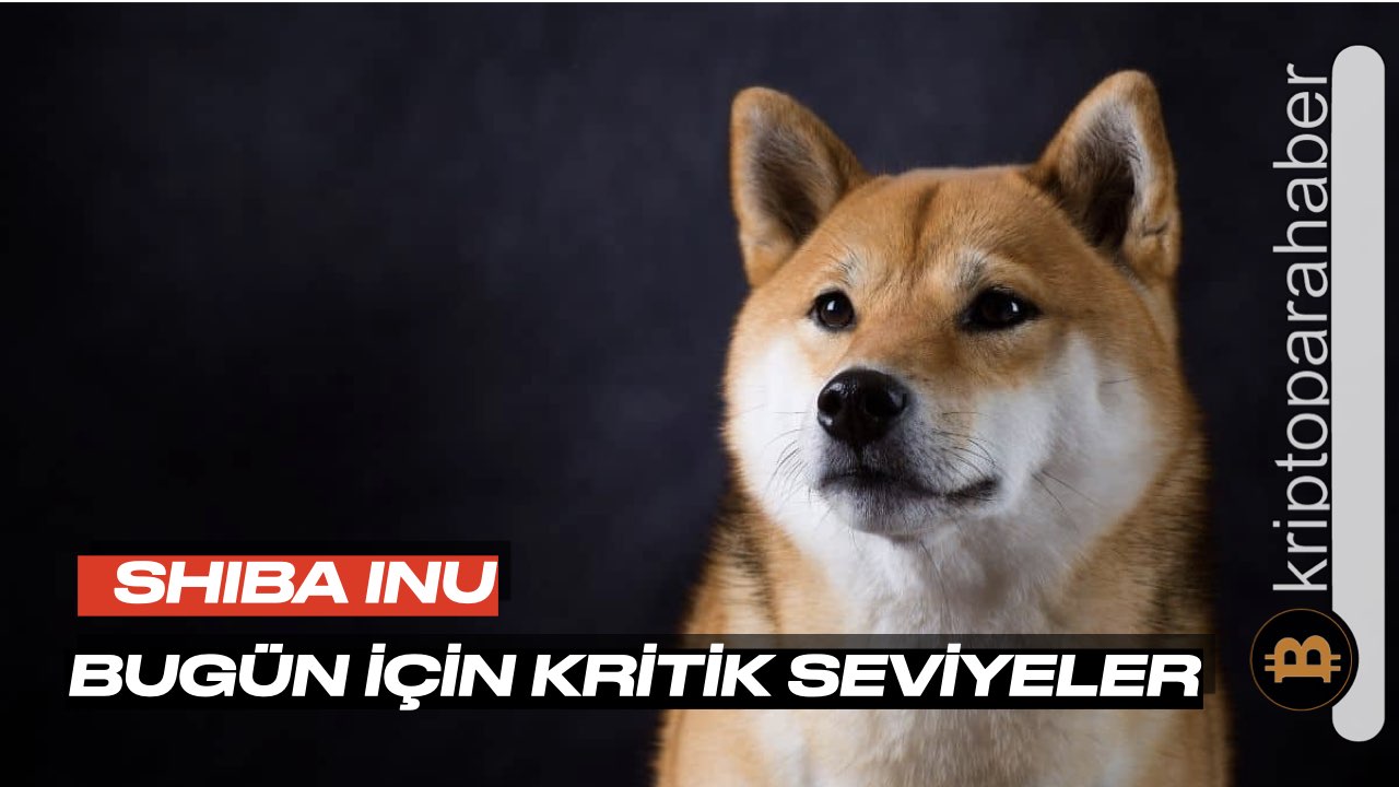 Shiba Inu için bugün çok kritik! Bu seviyelere dikkat!