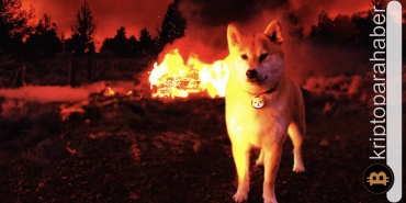 Shiba Inu yangın yeri!