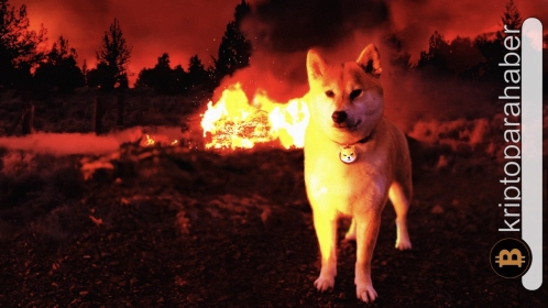 Flaş: Shiba Inu yangını iyice büyüdü! Fiyat patlamaya mı hazırlanıyor?