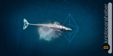 2015'ten beri uyuyan Ethereum balinası gözünü açtı! İşte portfolyosu