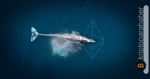 2015’ten beri uyuyan Ethereum balinası gözünü açtı! İşte portfolyosu