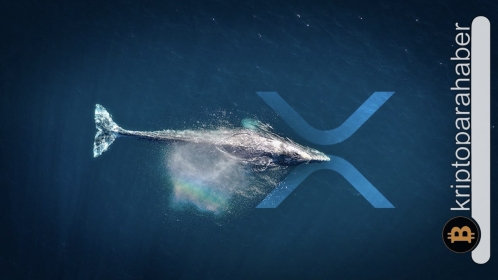 İnanılmaz transferler başladı! Ripple şirket cüzdanları hareketlendi… Neler oluyor?