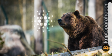 Yıldız altcoin yine ayıların pençesine düştü! Fiyatı bugün ne bekliyor?