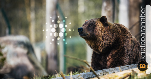 Yıldız altcoin yine ayıların pençesine düştü! Fiyatı bugün ne bekliyor?