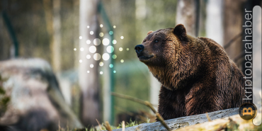 Yıldız altcoin'in başı ayılarla dertte! Fiyat kritik seviyenin altına düşecek mi?