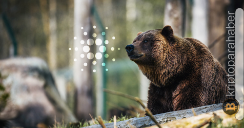 Yıldız altcoin’in başı ayılarla dertte! Fiyat kritik seviyenin altına düşecek mi?