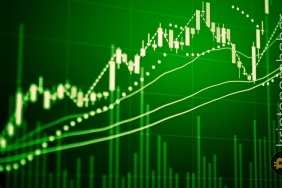 Boğalar gücü ele aldı! Bu altcoin'de yükseliş hızlanıyor